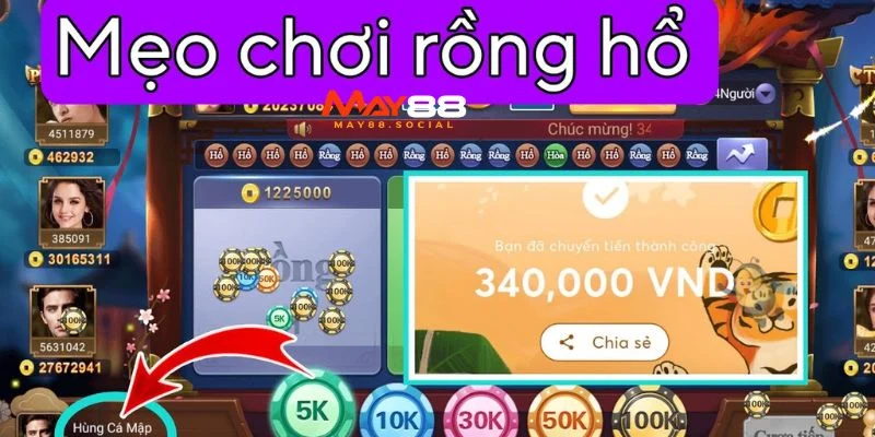 Mẹo Chơi Rồng Hổ Online Bách Chiến Bách Thắng Cho Bet Thủ Phân bổ tiền vốn cá cược hợp lý trong game rồng hổ
